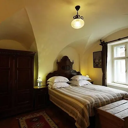 Guest house Fronius Boutique Sighisoara